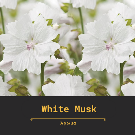 WHITE MUSK