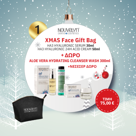 Xmas Face Gift Bag 1